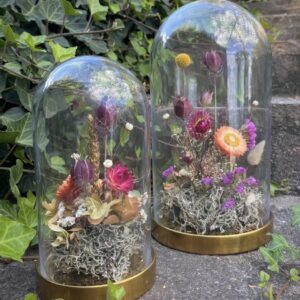CLOCHES ET JARDINS