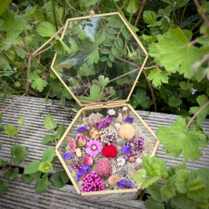 JARDIN DE VERRE